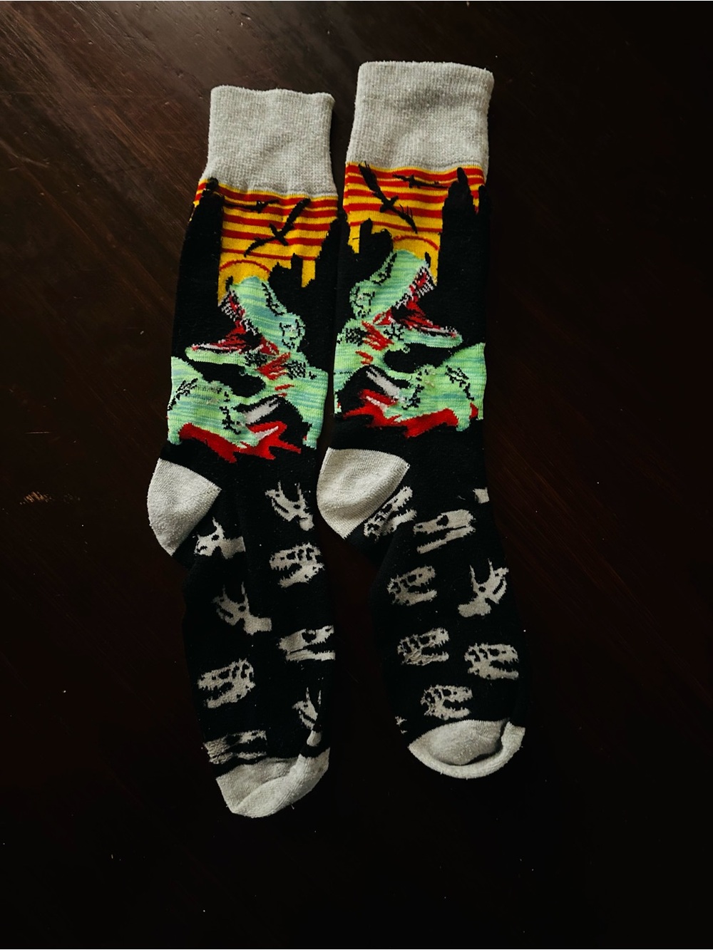 Kids Dinosaur Socks.